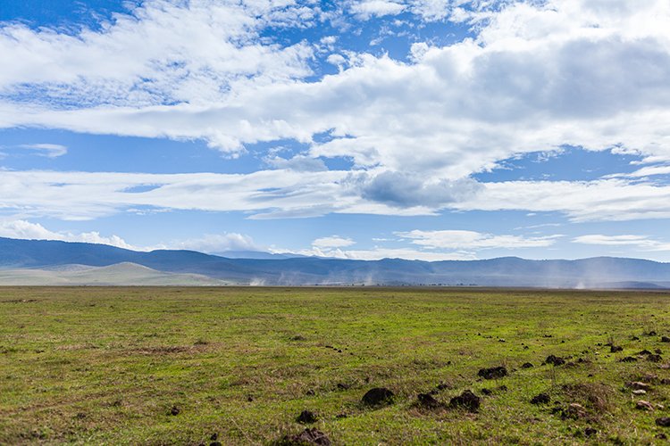 TZA ARU Ngorongoro 2016DEC26 Crater 051